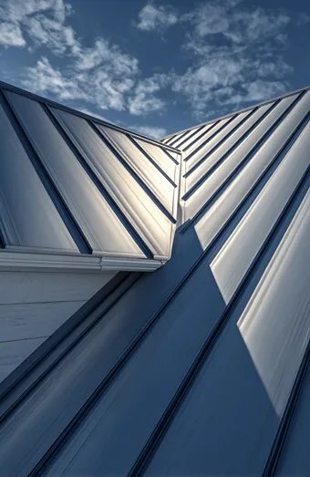 Roof Repair X